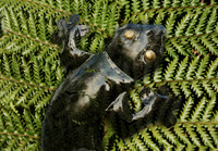 FFD921D-art