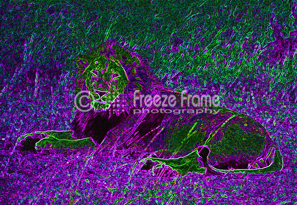 122_29art